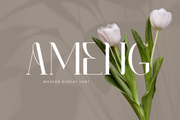 Ameng: The Serif Font That Elevates Your Campaigns