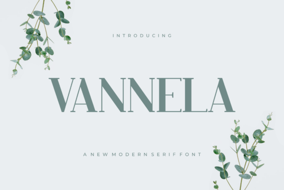 Vannela: A Modern Serif Font for Elegance and Readability